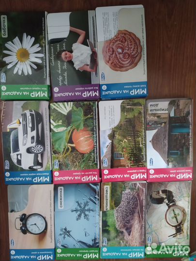 Мир на ладошке Умница карточки развивашки