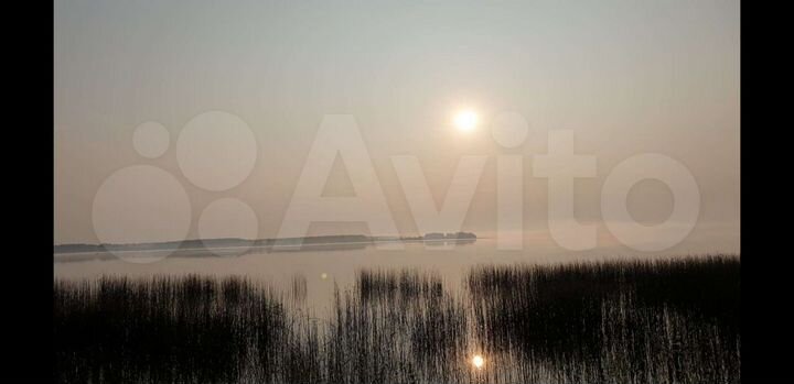 Участок 10 сот. (СНТ, ДНП)