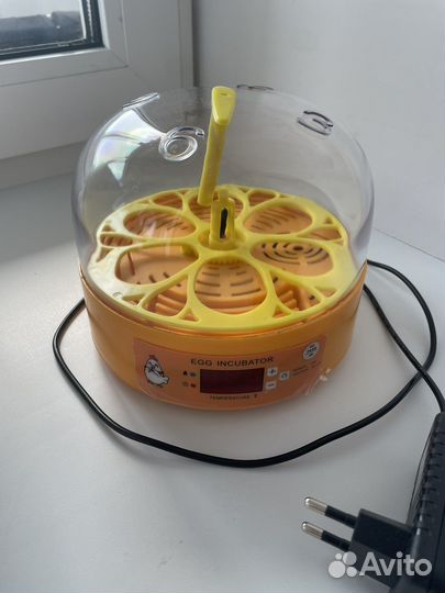 Инкубатор для яиц