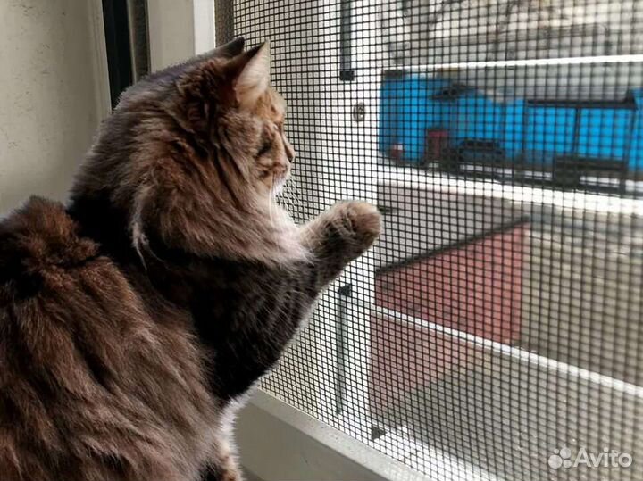 Москитная сетка антикошка