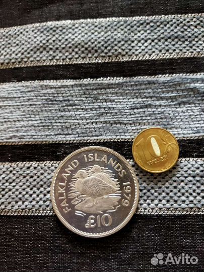 Фолклендские острова 10 фунтов 1979 г. Утка