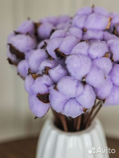 Сухоцветы хлопок букет