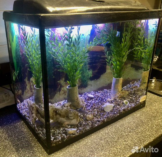58 литров полный комплект аквариум
