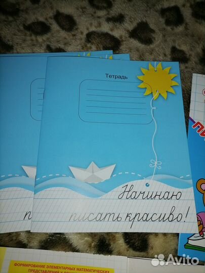 Прописи Мазиной