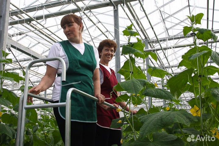 Работа в теплице/Разнорабочий