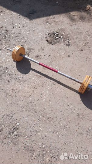 Штанга с блинами