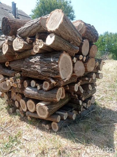 Дрова Акации, фруктовые деревья