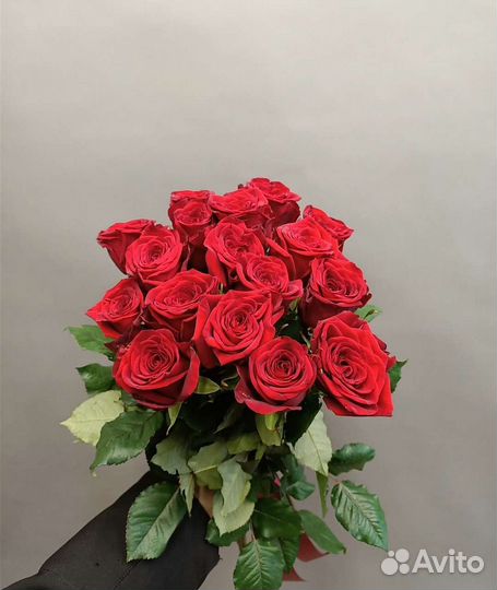 Букет из 15 свежих Голландских роз