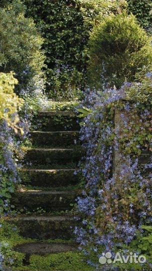 Монтаж видеороликов слайд шоу