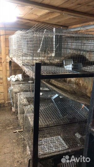 Клетка для кролика