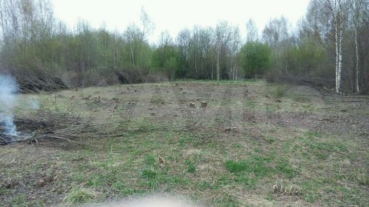 Участок 8 сот. (СНТ, ДНП)