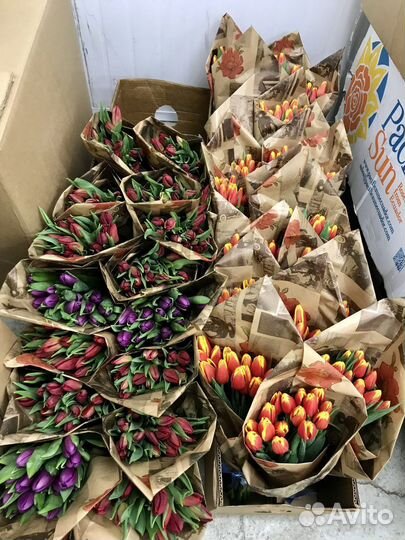Тюльпаны Букет тюльпанов Цветы с доставкой