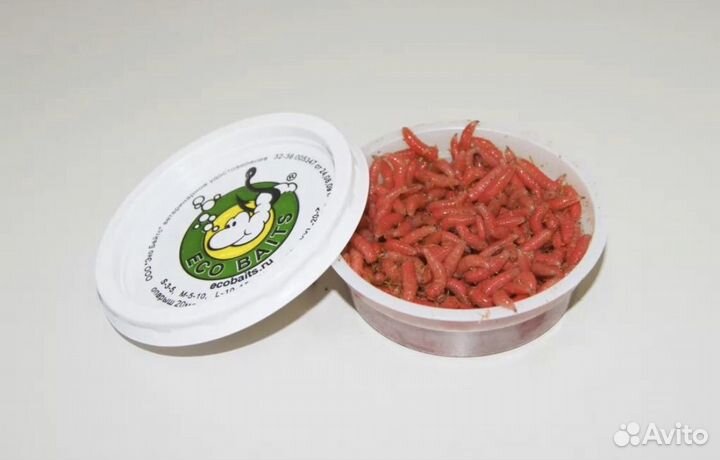 Мотыль, Червь, опарыш