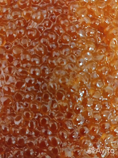 Красная икра