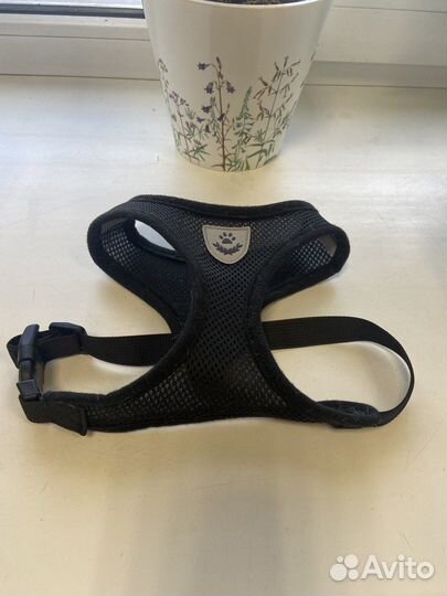Шлейка для собак