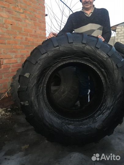 Колеса ободрыши