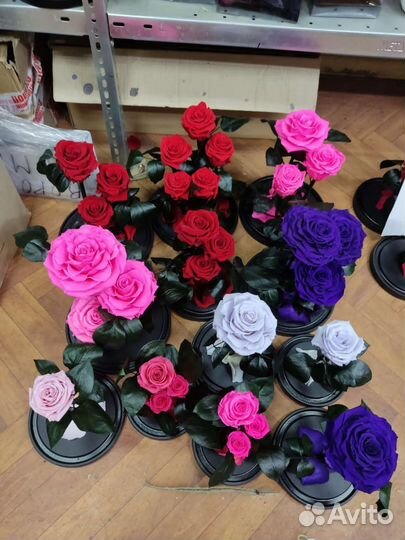 Роза в колбе оптом и в розницу