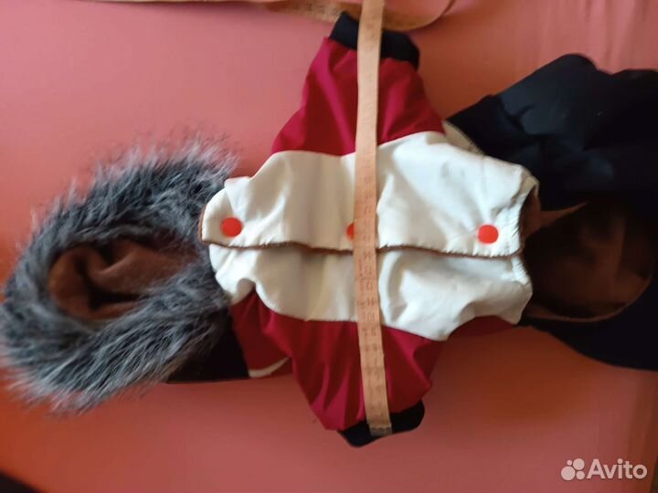 Комбинезон для маленькой собаки