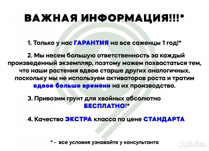 Туя артикул L-2821
