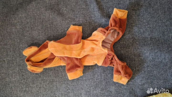 Велюровый костюм для маленькой собаки