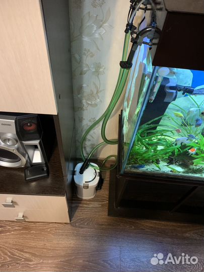Аквариум