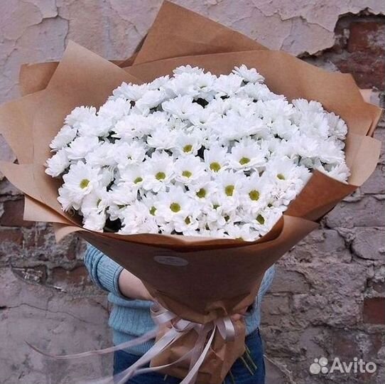 Хризантема. Букеты Цветы доставка