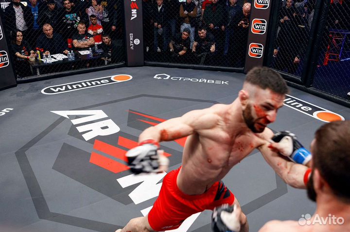 MMA Зеленоград