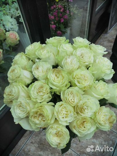 Роза 15,25,51 и 101