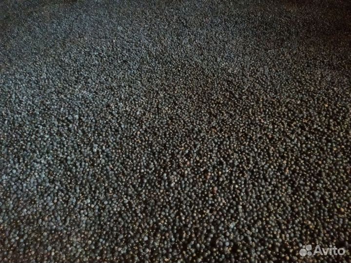 Ягоды можжевельника