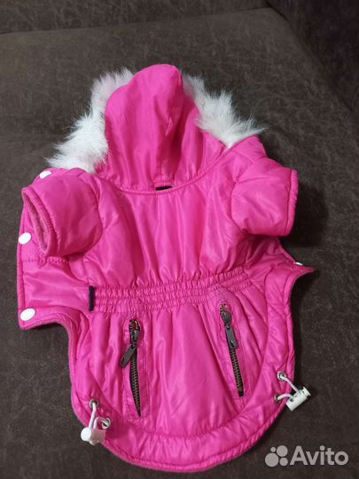 Куртка для собак мелких пород