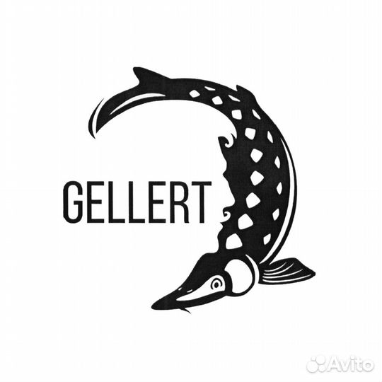 Бармен в gellert-BAR