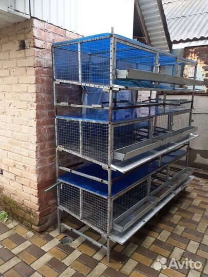 Клетки для кур несушек