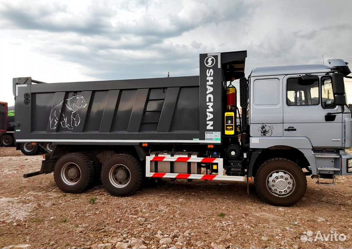 Shacman (Shaanxi) F3000, 2023