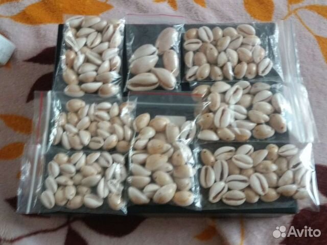 Бусины-каури морск.ракушки