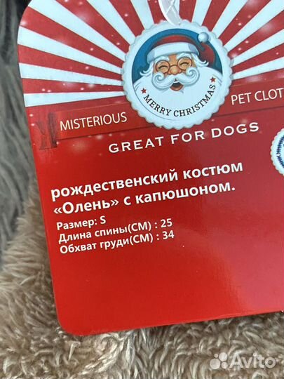 Одежда для животных