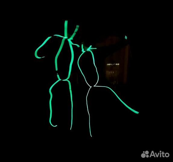 Неоновый наряд. Зеленоград