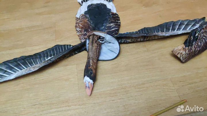 Чучела белолобого гуся махокрыл Flywing