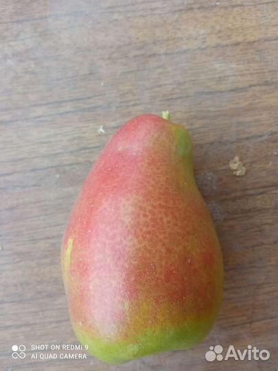 Продам груши