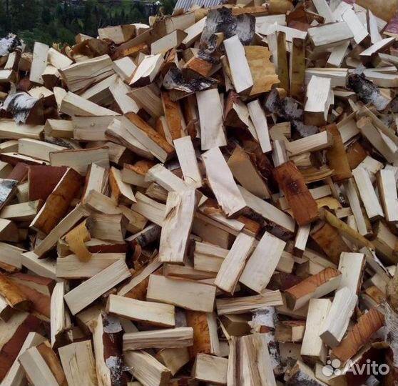 Дрова береза