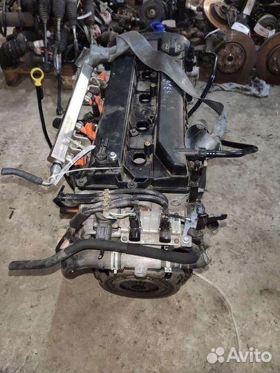 Двигатель qqdb Форд Фокус 2 Ford Focus 2