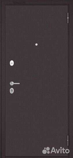 Дверь входная железная в квартиру