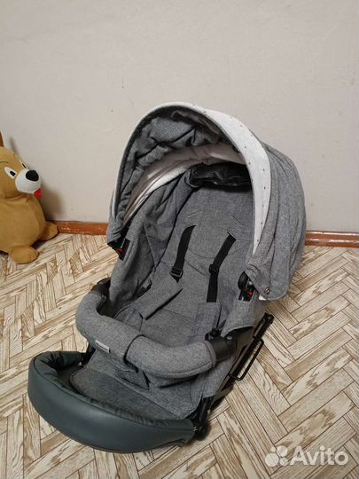 Коляска 2 в 1 adamex