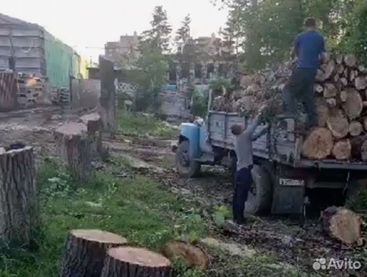 Дрова с доставкой