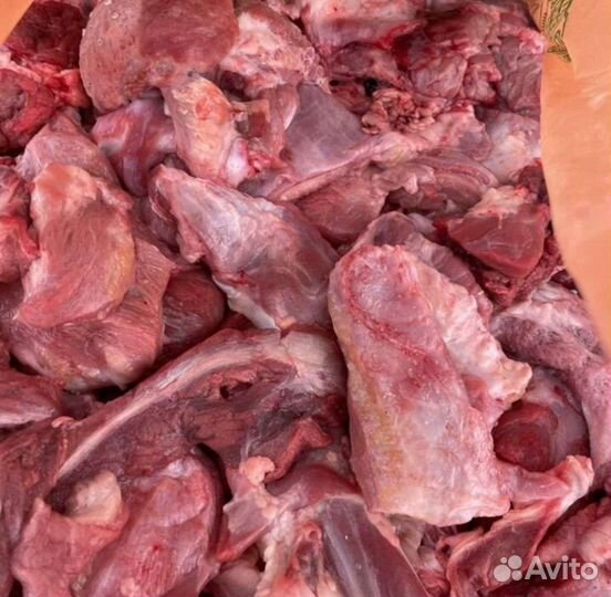 Продам мясо говядина