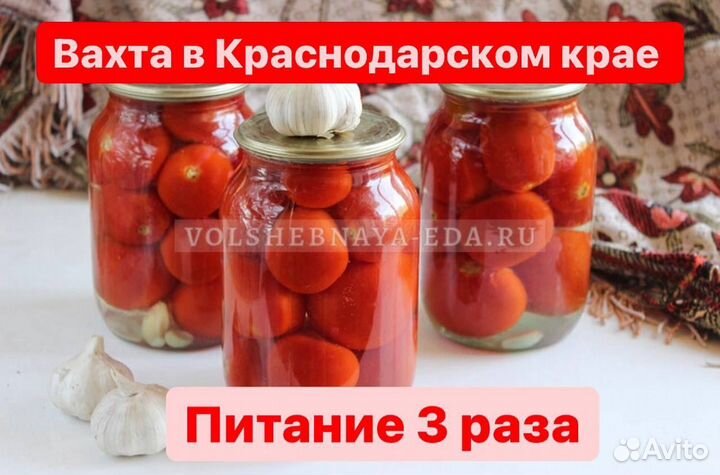 Вахтовый метод фасовка овощей