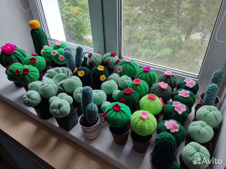 Кактусы и суккуленты вязаные