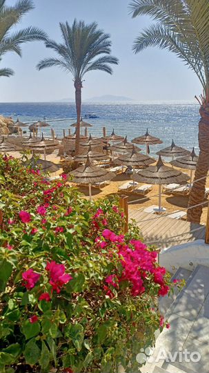 Горящие туры в Египет