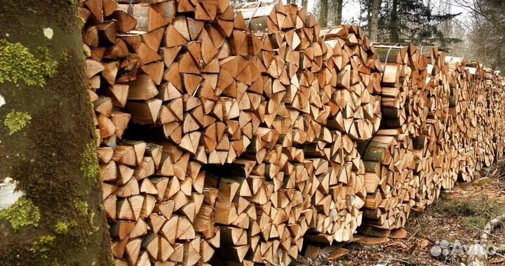 Дрова колотые