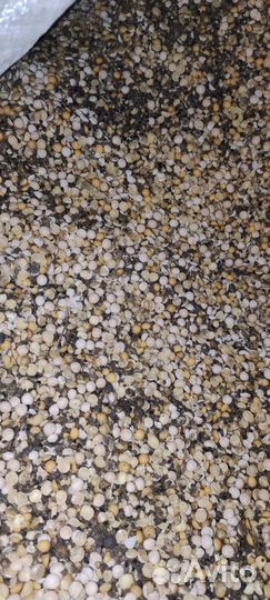 Горох кормовой 500кг