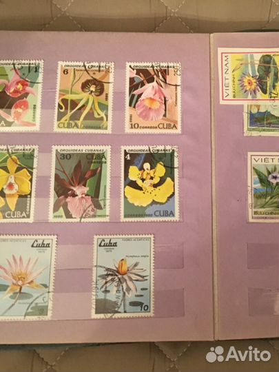 Коллекция флора